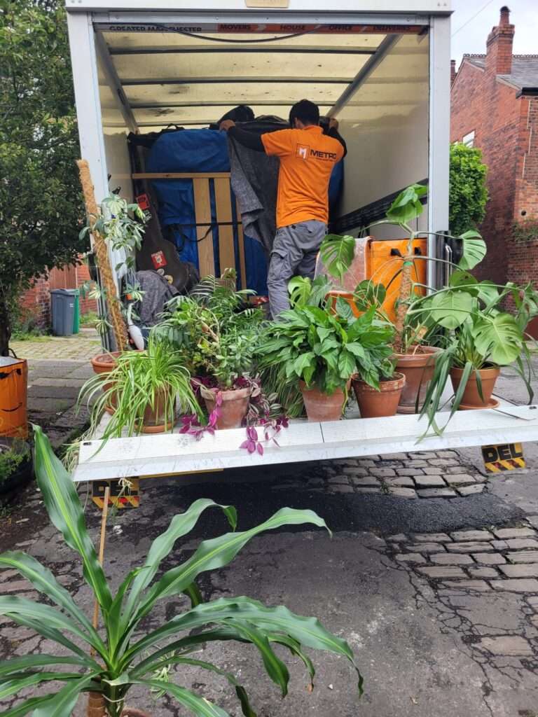 Manchester garden move